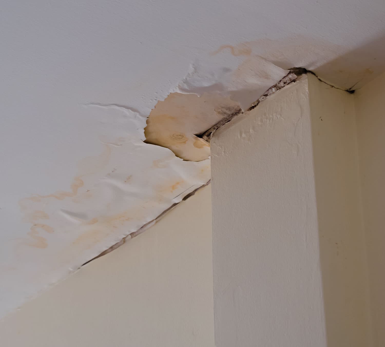 Water damage traced to the source and repaired